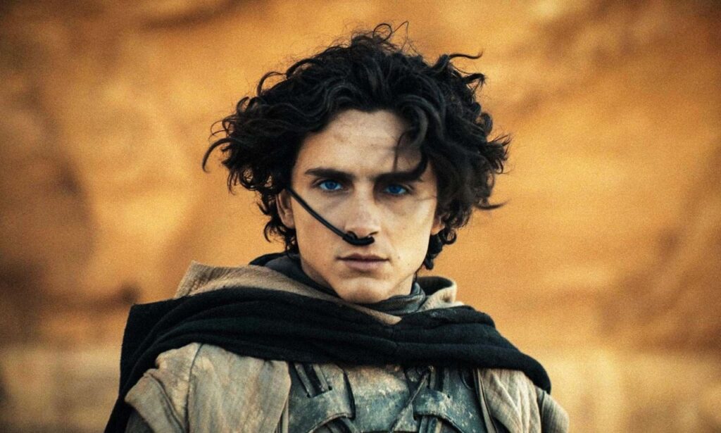 How much did Timothée Chalamet get paid for Dune?