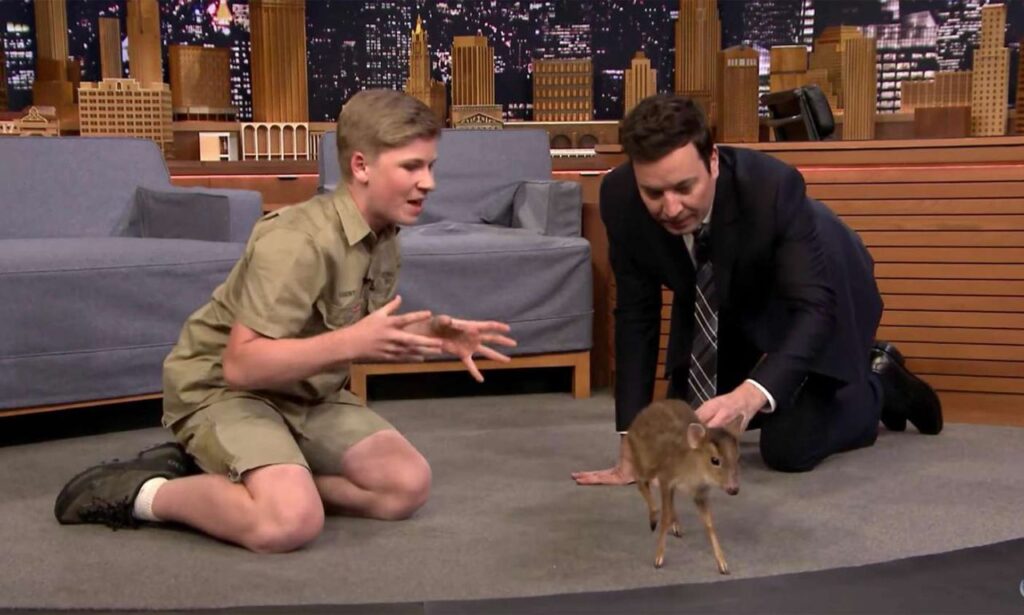 Robert Irwin Age When He First Appeared on Television