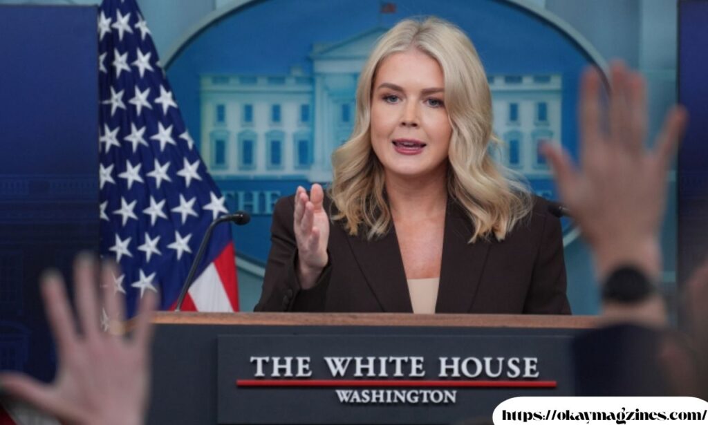 Role in the White House and Government Positions